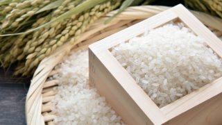 小泉進次郎氏起用で米価格の安定狙う日本政府