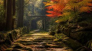 秋の行楽シーズンに想う熊野古道